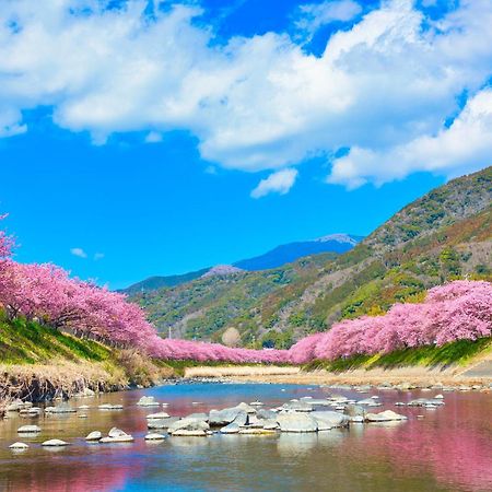 Ramjet Kisami Beach House Shimoda - Enjoy Sakura, Beach And Bbq! Extérieur photo